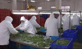 南通城市日历主持人是谁 南通电视台城市日历