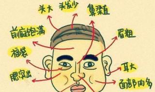 什么面相的男人有福