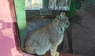 西宁市野生动物园