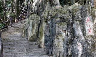 七星岩景区从哪进 肇庆七星岩旅游攻略