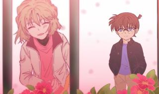 名侦探柯南灰原哀掉下山崖是哪集 江户川柯南和灰原哀