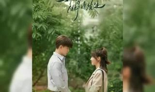 乌鸦小姐与蜥蜴先生滑雪哪一集 蜥蜴先生和乌鸦小姐