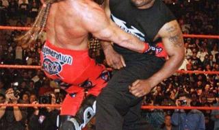 wwe送葬者经纪人是谁 wwe名人堂成员排名榜